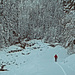 Winterzauber beim Ausgangspunkt am Färmelbach