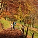 goldener Rückweg