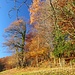 Herbst