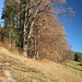 aufwärts Richtung Dandlberg