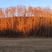 Panorama Grasfläche "Ofen"