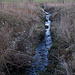 Riedlebach