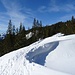 ...über einen verwechteten Bergrücken zum Plöschkogel