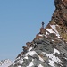 Ein Bergsteiger am Feekopf