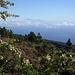 Mitte Februar hält auf den Kanaren der Frühling Einzug. Blick hinüber zum ca. 150km entfernten Teneriffa, mit dem höchsten Berg Spaniens: Teide (3718m).