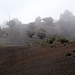Etwas später kommt man zum Vulkankrater Hoya de Fireba (rechts außerhalb des Bildes), wo sich die Landschaft schlagartig ändert, und man über schottriges Vulkangeröll marschiert.
