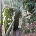 auf dem Klammsteig