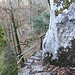 auf dem Klammsteig