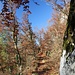 schöner Weg nach Prunn