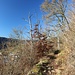 hoch überm Tal