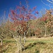 Rückweg nach Riedenburg