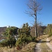 hinab in die Stadt