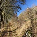 Rückweg nach Riedenburg