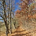 sonniger Rückweg nach Riedenburg