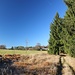 schön am Waldrand entlang