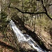wild stürzt der Flüe(matt)bach zu Tale