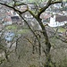 Blick hinunter zu Schattenhäuschen und Dorf