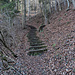 Der steile Weg von Hohburg nach Belp ist meistens getreppt