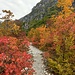 Herbstliche Farben im Shala-Tal
