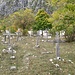 Friedhof von Ndërlysaj