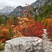 Herbstfarben