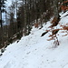 Die ersten 20 Minuten war ich noch wandernd unterwegs, bis eine ausreichende Schneedecke vorhanden war.