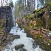Der Wildbach führt viel Wasser