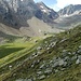 das Hohe Moos in saftig grünen Tönen