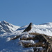 eine Alpenbraunelle posiert vor dem Säntis