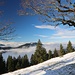 westwärts