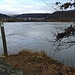 Zusammenfluss von Aare (links) und Rhein