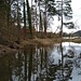 Tümpel an der Aare