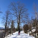erst beschauliches Wandern nahe Stritegg ...