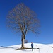 prächtiges Winterwandern, vom Rämsen hinunter ...