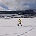 Snowshoe action!