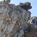 Aggiramento del castello sommitale calcareo della Cima di Noga quota 1517 mt.