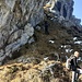 Aggiramento del castello sommitale calcareo della Cima di Noga quota 1517 mt.