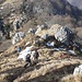 Proseguimento della traversata in cresta verso la Cima di Noga quota 1511 mt
