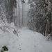 Im Tal liegt überall Schnee. Der Aufstieg im Zellgraben auf dem örtlichen Wanderweg Nr. 26 (DAV 217/216) ist schon gespurt, aber es herrscht dichter Nebel.