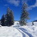 Rückblick; die Fahrspur reicht bis zur Hochrieshütte, was natürlich gerne angenommen wird.