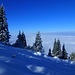 Blick ins Inntal, das aber noch komplett unterm Nebel liegt.