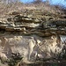 Am Geotop bei Obertrübenbach: Unten der uralte Granitfels, darüber eine dünne Schicht mit Transgressionskonglomerat und anschließend geschichtete Sandsteine und Mergel. 