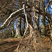 Zwischen Kuppe und Acker ein breiter, recht wilder Streifen
