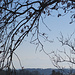Fernblick (zum Säntis)