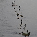 Holzkunst im Wasser