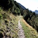 Il percorso si snoda ora, quasi pianeggiante, in alta Val Morobbia, fra cembri, piccoli abeti e cespugli.