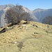 Superato il Rifugio Casa dell’Alpino, dopo pochi minuti si arriva a questa panoramica sella, da cui si vedono i ruderi dell’Alpe Leciuri e dell’Alpe del Braco. Proseguendo verso quella direzione si scende a Pogallo (-513 m), mentre andando a sinistra si segue il sentiero per Cima Sasso. In questo tratto abbiamo visto su un albero una fototrappola piazzata per il monitoraggio faunistico, segnalata da un cartello del Reparto Carabinieri P.N. Val Grande, con le sanzioni applicabili in caso di danneggiamenti, furto, ecc..