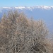 Cime occidentali della Val Chiavenna in sequenza