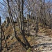 Nei  pressi della Sella del Poncione.