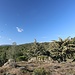 unterwegs in der schönen Sierra de Guaderrama